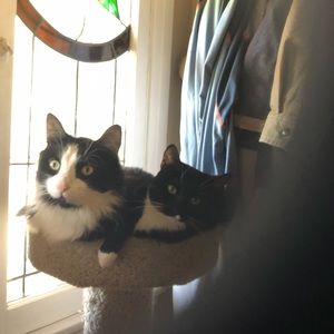 Meet your Posher, Ren